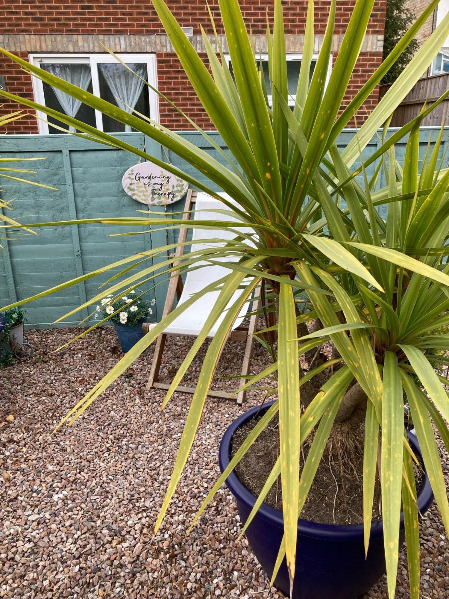 The Sashes - Stylish Apartment - Free Parking - Ultrafast Wifi - Smart Tv - Netflix - Sleeps Up To 6! Close To Poole Town Center & Sandbanks & Bournemouth المظهر الخارجي الصورة